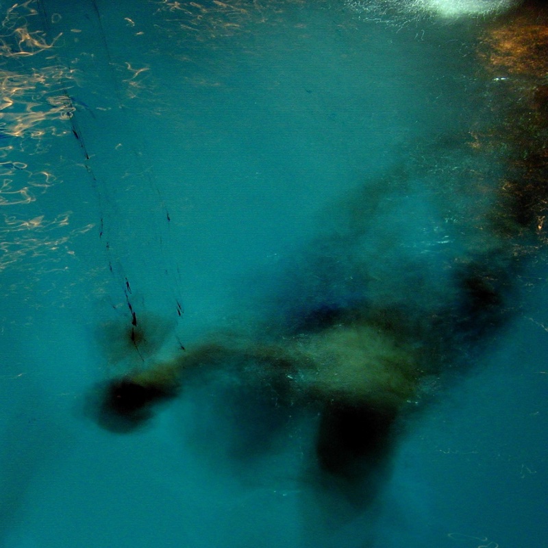 Release Cover
