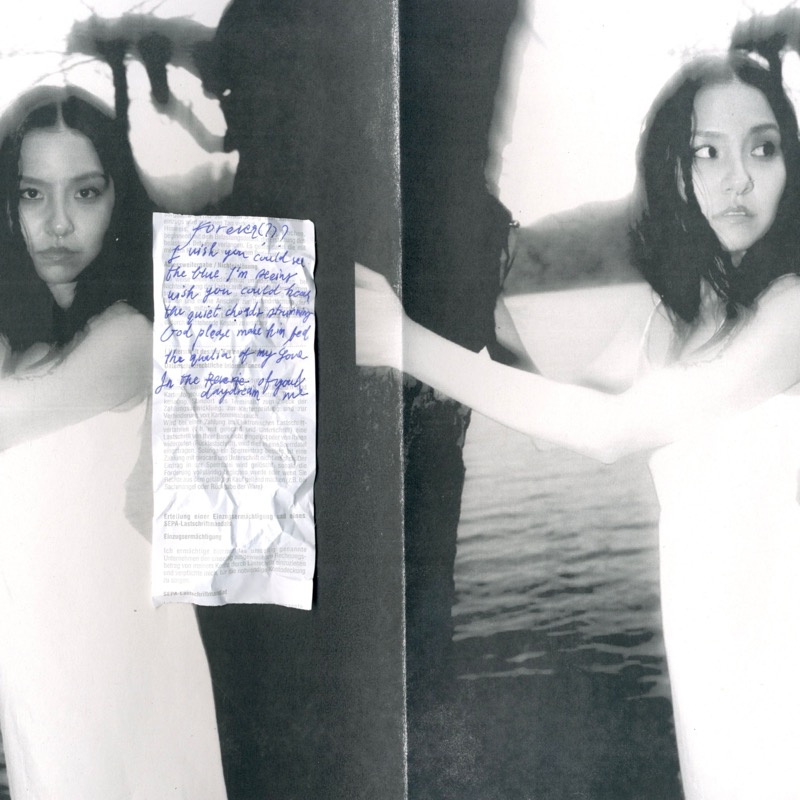 Release Cover